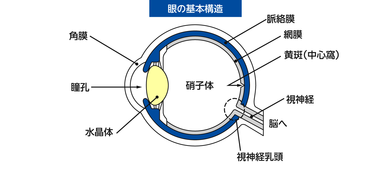 硝子体手術とは